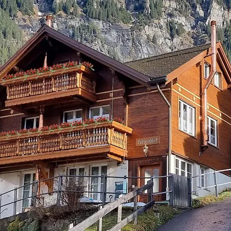 Apartment Lobhornblick *